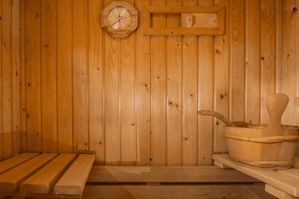 Wellness vakantiehuis met sauna